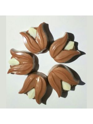 Nut Chocolate 