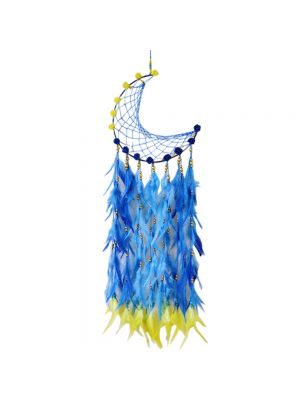 Blue Moon  Dream Catcher 